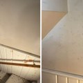 Masne mrlje na zidu treba da vas zabrinu: Odmah reagujte, miševi u kući su ništa u poređenju s tim