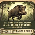 Lovci iz Smederevske Palanke i Natalinaca zajedno u pogonskom lovu na divlje svinje