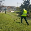 CLS: Beograd izgleda zapuštenije nego ikada, „Zelenilo Beograda“ zabeležilo veliki gubitak