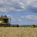Evropska unija uvodi carine na rusko žito, cena skače 50 odsto