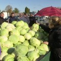 Kilogram kupusa 150 dinara, koliko će nas koštati zimnica?