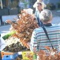 Kako se pravilno čestita pravoslavni Božić, a kako Badnje veče