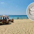 Užas u Istri: Dečaka (7) ujela zmija na plaži, organi počeli da mu otkazuju