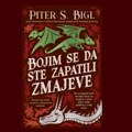 „Bojim se da ste zapatili zmajeve“: (Ne)prijatelj zmajeva na zadatku