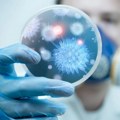 Kineski naučnici stvorili novi soj bakterija: Mogu da spasu planetu?