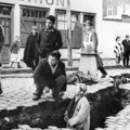 Najjači zemljotres ikada bio jačine 9,5 stepeni: Posle potresa usledio cunami s talasima od 25 metara i na kraju erupcija…