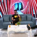 ''Dobio sam odličnu ponudu'' Pre pet godina bio je u rijalitiju, a sad je spreman da ponovo pomrsi konce zadrugarima