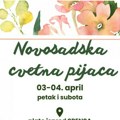 Cvetna pijaca u Novom Sadu: Od ukrasnog bilja do pčelinjih proizvoda