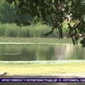 Mir, priroda i domaćinska atmosfera – čari života na salašu u Turiji