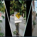 Mlinska ulica u centru Leskovca dobila sarkastičnu „trotoarsku“ signalizaciju