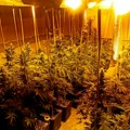 U okolini Varvarina pronađena labaratorija za uzgoj marihuane