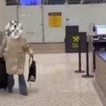 Ljudi moji, jel realno? Carinici pretresli ženi torbu na aerodromu, pa pronašli ovo! (video)