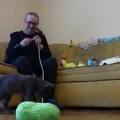 U okolini Čačka najneobičniji šegrt u Srbiji Mačak Milisav pomaže Borislavi da isplete vaskršnje korpice