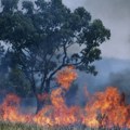 Širom Srbije izbilo više od 600 požara, šest osoba povređeno
