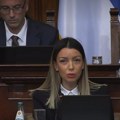 Srbija je na putu evropskih integracija Mesarović: Naša zemlja je uvažena u svetu, sami donosimo svoje odluke