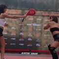 Šamar koji je zaludeo mreže: Atraktivna Nina Drama osetila moć Power Slapa!