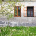 Za ovo imanje u Vrdniku traže skoro milion evra! Na placu ima 750 stabala kajsija i kuća čudne arhitekture (foto)
