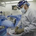 Umro prvi primalac genetski modifikovanog svinjskog bubrega nakon transplantacije