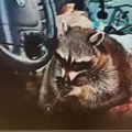 "Mališa, dosta si se igrao": Policajci zaustavili automobil, pa zatekli scenu koju će pamtiti do kraja života