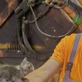 (Foto) U dubini kontejnera, zatrpano otpadom, nešto se pomeralo! To nije promaklo Marku, odmah je zaustavio presu i ovo malo…