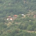 Borovnica iz Trgovišta uspeva u netaknutoj prirodi