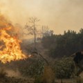 Prva Tužba za podmetanje požara: Gradonačelnik Rodosa tuži NN lica za namerno paljenje šuma