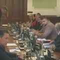Odbor za ekonomiju vodi Arsić, za ekologiju Vujadinović, Ćuta dobacivao „lopovčine“