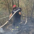 Više požara na otvorenom, gorela trava i nisko rastinje