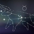 Veliki godišnji horoskop za Bika za 2026: Na poslu briljirate, a samo ako volite svim srcem biće vam uzvraćeno