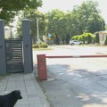 Zatvorena stočna pijaca u Obrenovcu zbog afričke kuge svinja