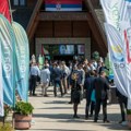 U Srbiji 11 GW novih solarnih i vetro kapaciteta čeka priključenje na prenosnu mrežu