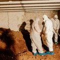 "Rudari" iz Srbije na interpolovoj poternici: Kopači tuneli zbrisali, potraga za misterioznom ženom i dalje traje
