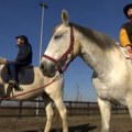 Kako terapija uz pomoć konja pomaže u lečenju i druženju