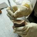 Smrt u grobu: Naučnici otkrili drevni oblik žrtvovanja u Evropi, ali još nagađaju o čemu se radi