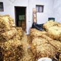 Kakvo hapšenje u Kovinu: Dvojica skrivala više od 5 tona duvana!