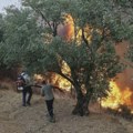 ФОТО ВИДЕО Гори Грчка: Има мртвих, 8.000 људи евакуисано, пожар на Криту ван контроле