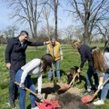 Srbiji nedostaje 200 miliona stabala