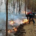 Požar preti da se proširi, čak 25 vatrogasaca na terenu: Gori borova šuma kod Kraljeva