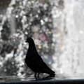 Prognoza vremena za 12. jun 2025: Danas pretežno sunčano i toplo