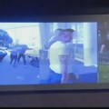 BIA na svoj dan prevazišla Nušića: Plava riba, kljukana dinastija, svastikin but