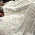 Neočekivan potez Filipa Cara u Eliti 10! Evo koju devojku je Filip odveo u hotel: Svi zanemeli u Beloj kući