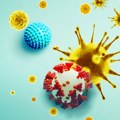 Svetska zdravstvena organizacija otkriva stepen rizika novog virusa EG.5 ili "Eris"