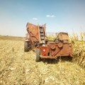 Uskoro berba kukuruza na 10.000 hektara u Pčinjskom okrugu