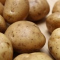 Velika prilika za hrvatske proizvođače industrijskog krumpira
