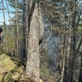 Lokalizovan požar na Zlatiboru: Vatrogasci savladali vatrenu stihiju