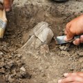 Jezivo otkriće: U najstarijem vinu na svetu pronađeni ostaci čoveka