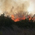 Region se bori sa vatrom: Požari besne na Cetinju i kod Podgorice, vatrogasci brane kuće u naseljima kod Mostara