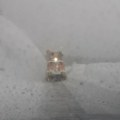 Ni traga od meteorologa: Nestao u snežnoj mećavi na Bjelašnici - tri dana traje potraga