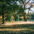 Jedini park na svetu gde svako ko pronađe dijamant, može da ga zadrži