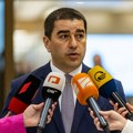 Vladajuća stranka u Gruziji traži zabranu tri najveće opozicione partije